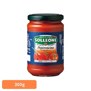 g}g\[XEyy`[m 1300421g}g\[X C^A ȒP pX^ sU JS P`bv fe pX^\[X ۑH 