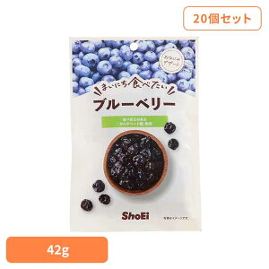 yő400~OFF炵+zy20z܂ɂHׂ u[x[ J`x[g u[x[ hHi Shoei hCt[c َq ̂܂ ܂ɂHׂ  