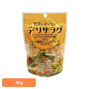 ؂fT_ hHi Shoei  gbsO T_ ibc V[h  f 