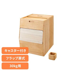 Ăт 30kg    h vʃJbvt tbv @ ȒP ߂т ğC CXXgbJ[ CX{bNX    ۑ P[X e [ 30L OSPO-30 k