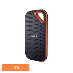 SanDisk GNXg[v |[^uSSD 4TB SDSSDE81-4T00-J25|[^uSSD 4TB sandisk TfBXN RpNg e f[^ۑ Be TfBXN