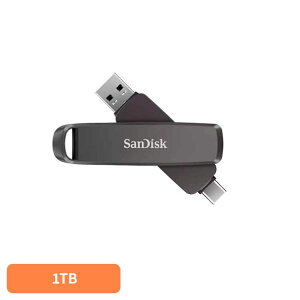 SanDisk Slim Dual Drive 1TB SDDDE1-1T00-J46|[^uSSD 1TB sandisk TfBXN RpNg e f[^ۑ Be TfBXN