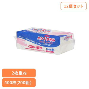 12�z�t�F���~�n���h�^�I��200W �n���h�^�I�� �y�[�p�[�^�I�� �p���v100�� �g���̂� 2���d�� 200W 200�g �t�F���~ �C�f�V�M���[ �C�f�V�M���[(��)