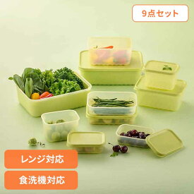 LIV PLUS 保存容器 9点セット グリーン LV-147保存容器 野菜保存 鮮度保持 電子レンジ 食洗機 冷凍 抗菌 セット BPAフリー ベストコ ベストコ
