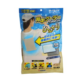 ケンユー マイアイス 冷却材 背中クーラー 送料無料 ケンユー マイアイス 冷却材 ひんやり 背中 リュック 作業 グレー 背負う けんゆー ケンユー グレー アイボリー 【メール便】