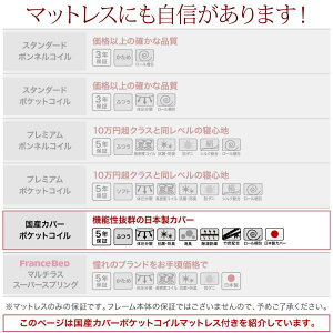 ライト・コンセント付きモダンデザインベッドVesalヴェサール国産カバーポケットコイルマットレス付きダブル