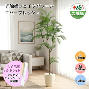 G} Go[tbV tFCNO[ lHϗtA 120cm 160cm 180cm t CeA O[ ȒP