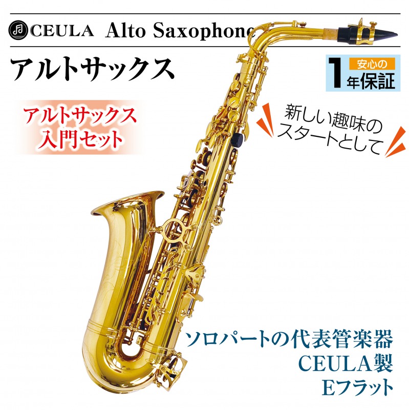 アルトサックス 初心者セット 安い 入門用 E Saxophone 吹奏楽 1年保証 #668