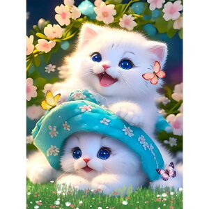 viervido_ChA[gyCeBOLbg_Chhr[YA[g5DUCNA[ghJLbgnhChSʓ\t^Cvr[YA[gGLbgDIY