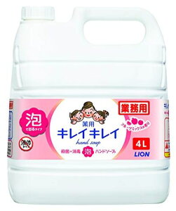 yƖpeʁzLCLCpAnh\[v4Lt[c~bNX̍(򕔊Oi)lߑւ