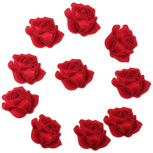 10ԂỏԂ̃ACڒpb`Ao̎hJAbvPpb`ADIYANZT[gѓdbobNpbNpi