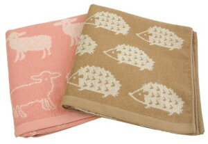 KosugizenoX^IkAj}2F(2)e160x120cmk`[tقǂ悢{[2ZbgSV-693-2