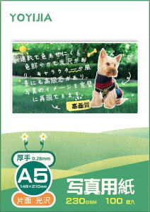 YOYIJIAʐ^pꂢȌ0.28mmA5100CNWFbgv^[p