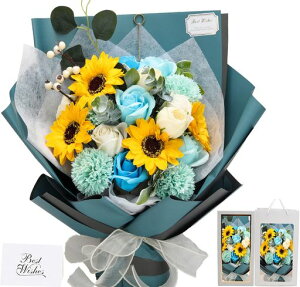 \[vt[ԑ̓v[gav[g\[vt[oOf[Vԑu[PKNԃv[glCMtgLO̓hV̓ޏӉԑCec