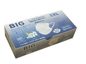 rbO}XN傫ߕsDzYɂȂȂrbOTCY傫3XLTCYo[WC^[tFCX