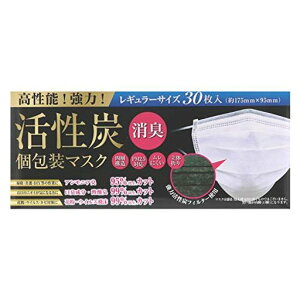 (PM2.5Ή)͊YtB^[Y}XN30