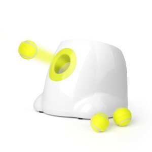AllForPaws{[`[Ꭹ{[p{sb`ˋ3iK\{[Lb`p̃~jejX{[3t^~^pmߋ