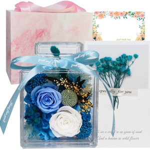 vU[uht[v[gauU[ht[ސEj͂ȂԃAWg2ւKN{gt[MtghV̓LO̓zCgf[J[h&c