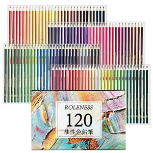 RolenessFM120FqlhGFMZbg낦҂w҂ƃv\tgcFM[P[XMt