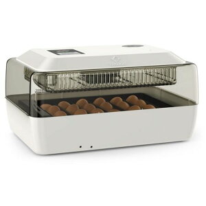 LifeBasiszCLx[^[ސpӗ펩]z24OKqR܂qpeʎx䎼xێfW^\{Aqƒpނ̗lHc