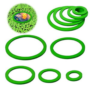 PAVIKEaOagUh~Oy5zaOtB[_tBbVtB[_[agCGT胁_JpiGTMَpPbgtBbVtB[_