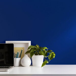 VEELIKEnǎV[CNV[gu[40X300cmJbeBOV[gւV[tH[V[gǃNXtH[V[gEH[XebJ[͂kc