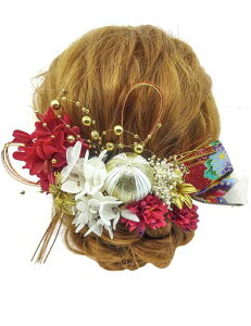 [JZOON]hCt[ԏwAANZT[wA[ANZT[lƎӉ܎OaUߌюzԐa