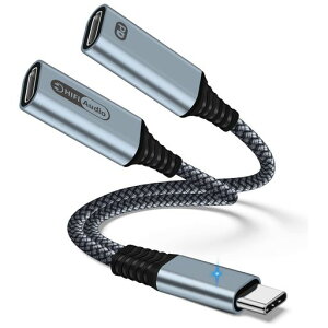 2in1^CvCCzϊA_v^USBType-CCzϊP[uDACHi-FiҍϋvґgiCP[uPD60W}[dyĐ/ʘb/ʒߑΉi-Phone15/i-Pad