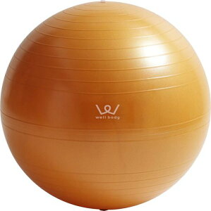 ACR(ALINCO)GNTTCY{[55cm(IW)WBN055D