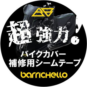 Barrichello(o`F)oCNJo[CpV[e[vhJR΍􋭗͔S