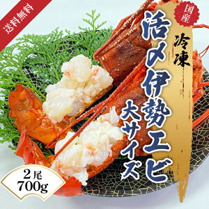 yYⓀ ɐCVz YɐCV ɐCVkt ʔ  j LO  p Mtg Od { Y Od 2 700g Nx Ⓚۑ ɐCV O^  ܂ li 