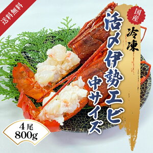  YⓀ ɐCV 3`4 800g YɐCV ɐCVkt ɐCV ܂邲 kt p  N H  p Mtg n  ʔ  { Y