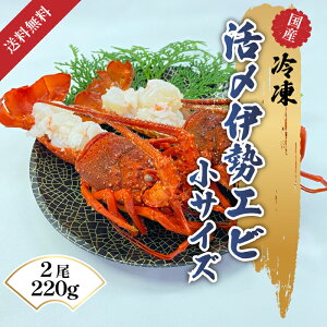  YⓀ ɐCV 2 220g YɐCV ɐCVkt ɐCV ܂邲 kt p  N H NxQ  Mtg j   Ε  p Mt