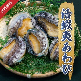 【高級活〆】蝦夷あわび 活アワビ あわび アワビ 鮑 60g 80g 100g 140g 安い 美味しい 新鮮 お祝い 正月 おせち お歳暮 お中元 お取り寄せグルメ 高級食材 プレゼント ギフト 贈答用 バーベキュー BBQ 刺身 鮑ステーキ 炭火焼き 酒蒸し 寿司 バター焼き 踊り食い 濃厚旨味