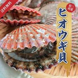 【高級活〆】国産 三重県 名産地 緋扇貝 ヒオウギ貝 10枚 殻長7cm-8cm 旬 美味しい カラフルな貝殻 新鮮 海鮮 グルメ お取り寄せ 刺身 濃厚な旨味 貝焼き バター焼き 炭火焼き 酒蒸し 寿司 海鮮丼 BBQ バーベキュー ギフト 贈答用 プレゼント 父の日 内祝い 記念日 送料無料