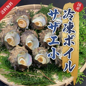 �{�C���T�U�G ���T�C�Y 20�� 1.2kg 1��60g�`70g ���Y �O�d�� ���s�{ �V�R �L�� �ڏĂ� �O�����Ă� ���Ă� �Y�Ă� ���̂܂� �C�N ������ �O���� �l�Ă� BBQ �o�[�x�L���[ �p �M�t�g �����p 