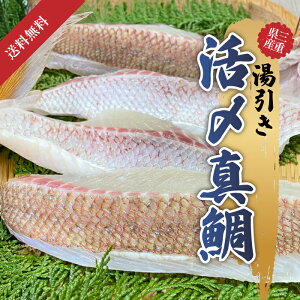 Y ^  750g Y VN hg j LO j   Ε   Mtg p  t t 瓒 {B^   hg hgp Hi Y 