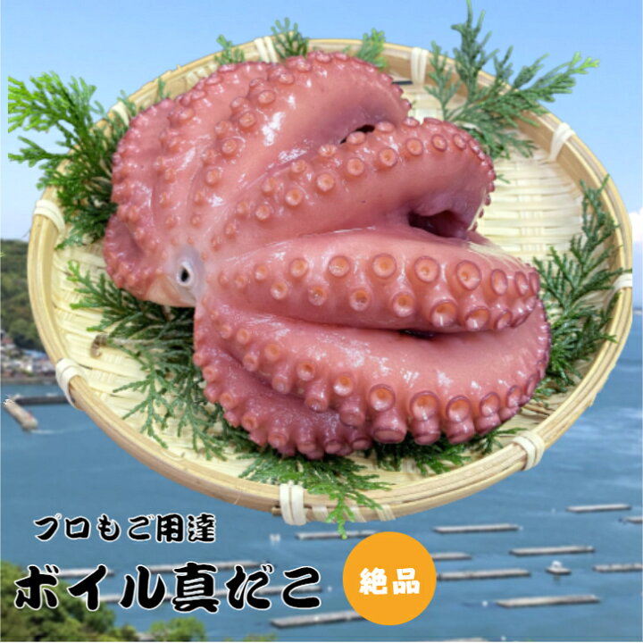 楽天市場】【送料無料】ボイルたこ 丸ごと 約400g 三重県産 新鮮 海鮮 