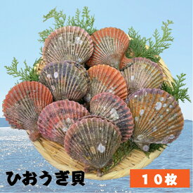 【高級活〆】国産 三重県 名産地 緋扇貝 ヒオウギ貝 10枚 殻長7cm-8cm 旬 美味しい カラフルな貝殻 新鮮 海鮮 グルメ お取り寄せ 刺身 濃厚な旨味 貝焼き バター焼き 炭火焼き 酒蒸し 寿司 海鮮丼 BBQ バーベキュー ギフト 贈答用 プレゼント 父の日 内祝い 記念日 送料無料