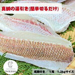 Y ^  750g Y VN hg j LO j   Ε   Mtg p  t t 瓒 {B^   hg hgp Hi Y 