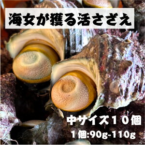 Y Nx Yn OdY VR C C TUG VRTUG  10 1kg 190g`110g TUG hg ڏĂ h  ̍ L h{ L CN  VN ① BBQ 