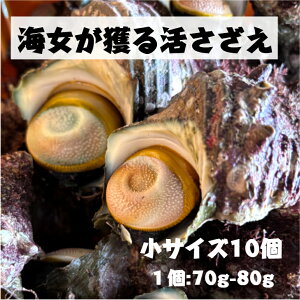 Y OdY VR C C TUG VRTUG  10 1kg 170g`80g TUG hg ڏĂ h  ̍ L h{ L CN  VN ① BBQ  M