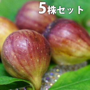 y5{Zbgz C`WNEH` ق炢 zECV c 1N c f@|bgc 0.6mO 15cm|bg ʎc ʎ ʎp A 
