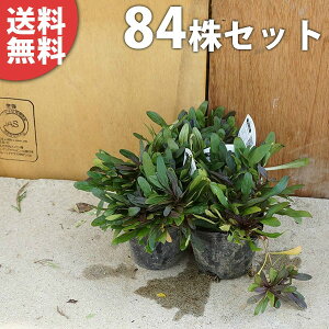 y84|bgZbgz AWKE`R[g`bv 9cm|bg オ c c A  _ EOhJo[