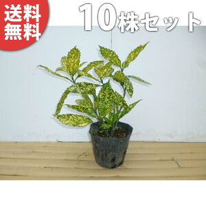 y10{Zbgz AIL 0.4mO 15cm|bg 肠 c c A  _ ؁E