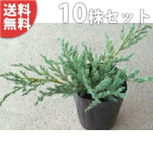 y10|bgZbgz u[J[ybg 15cm|bg Rjt@[ c c A  _ Rjt@[ _ ډB