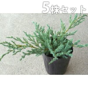 y5|bgZbgz u[J[ybg 15cm|bg Rjt@[ c c A  _ Rjt@[ _ ډB