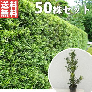 y50{Zbgz J}L 0.4mO 10.5cm|bg _ c c 炩܂ }L ܂ _ A  _ ډB