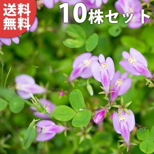 y10|bgZbgz TMSPEsN 9cm|bg sNTMSP sN c c A  _ EOhJo[