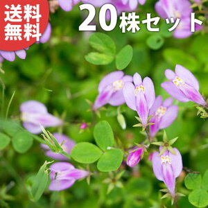 y20|bgZbgz TMSPEsN 9cm|bg sNTMSP sN c c A  _ EOhJo[